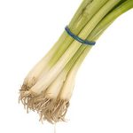 spring onion bands