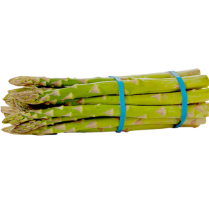 Asparagus rubber bands EU food contact compliant — blue and natural colours — Icon Flexpack