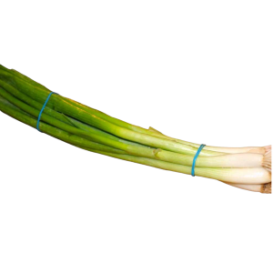 Food safe rubber bands for spring onions — various sizes and colours — Icon Flexpack